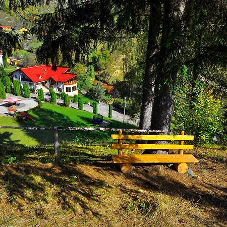 Pensiunea Eladi Борша Экстерьер фото