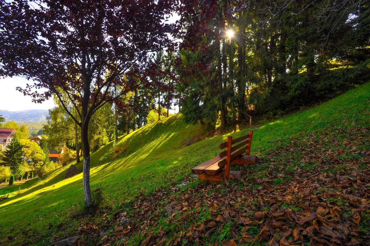 Pensiunea Eladi Борша Экстерьер фото