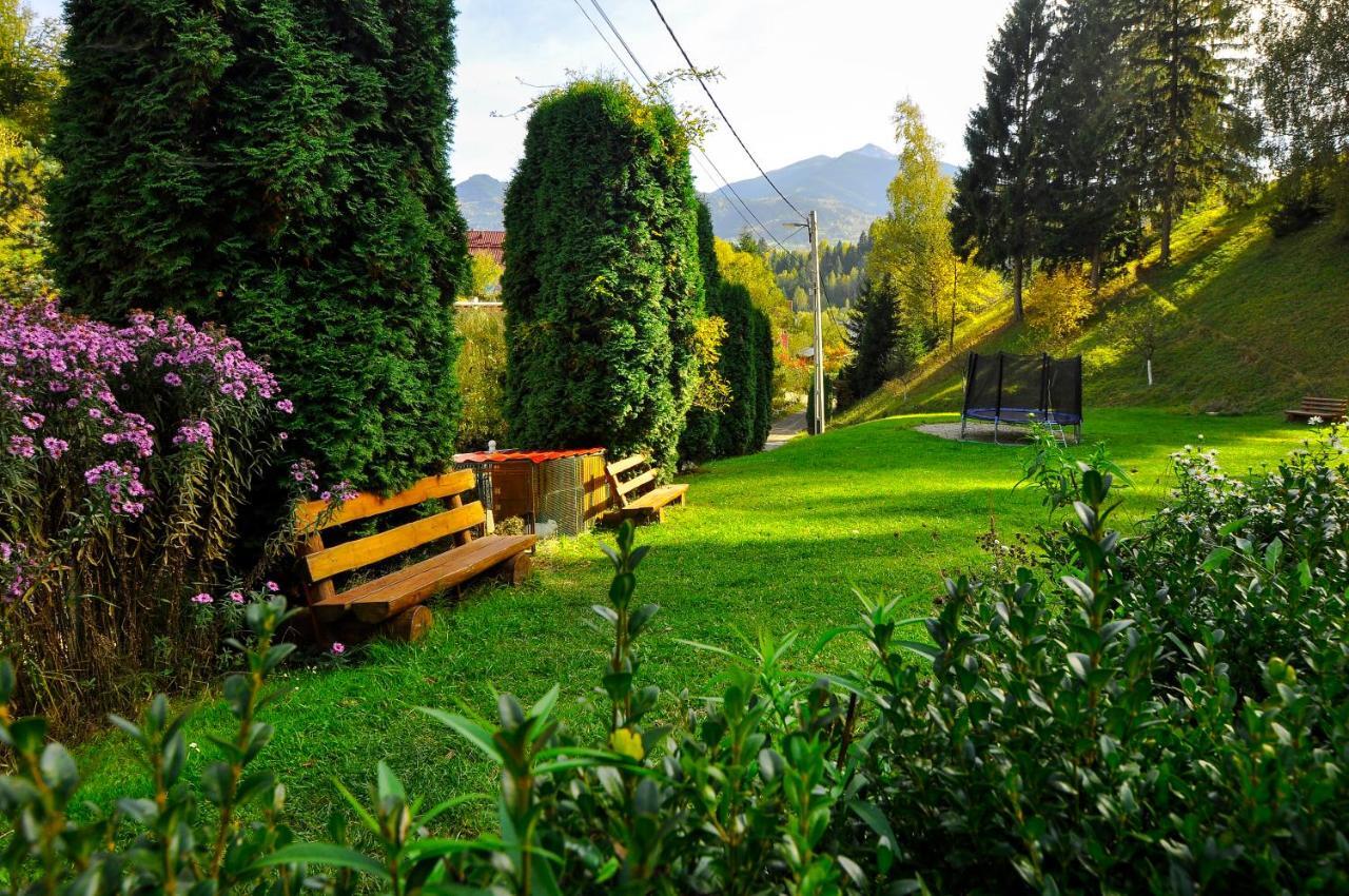 Pensiunea Eladi Борша Экстерьер фото